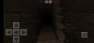 Screenshot_۲۰۲۱۰۳۰۷-۰۰۲۴۵۴_Minecraft.jpg