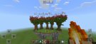Screenshot_20210307-080711_Minecraft.jpg