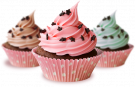 22243691-8559-41F1-A1CD-49A1C6CEEF37.png