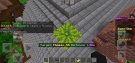 Screenshot_2021-03-21-01-17-16-88.jpg