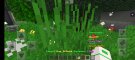 Minecraft_2021-05-01-21-02-36.jpg