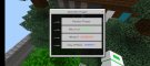 Minecraft_2021-05-01-21-01-08.jpg