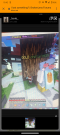 Screenshot_20210709-191032.png
