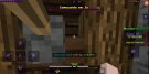 Screenshot_20210712-110719_Minecraft.jpg
