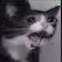E14E12B3-5641-4BD0-899E-2E8B2A9956DB.gif
