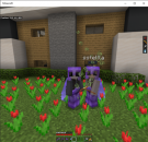 proxy.png