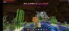 Screenshot_20210730-233027_Minecraft.jpg