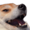 AF7FD7C6-5D88-4F73-968B-1C98ACDED053.png
