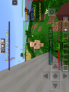 skin.PNG
