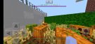 Screenshot_۲۰۲۱۰۹۲۸-۱۳۳۶۵۸_Minecraft.jpg