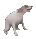 d3897e57-3a33-4136-a6bb-882343233261.gif
