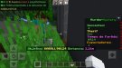 Screenshot_20211106-114956_Minecraft.jpg