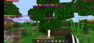 Screenshot_20211122-122315_Minecraft.jpg