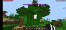 Screenshot_20211122-122411_Minecraft.jpg