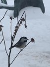 8435C0C7-E82B-4787-8DB4-83B8ADFF9238.jpeg