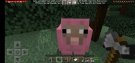 Screenshot_۲۰۲۲۰۲۲۶-۱۲۰۷۴۵_Minecraft.jpg