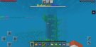 Screenshot_20220306_142253_com.mojang.minecraftpe.jpg