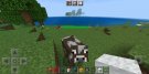 Screenshot_20220502_161236_com.mojang.minecraftpe.jpg