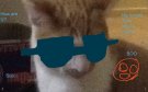 image.jpeg