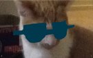 image.jpeg
