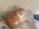 image.jpeg