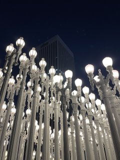IMG_8575.jpeg