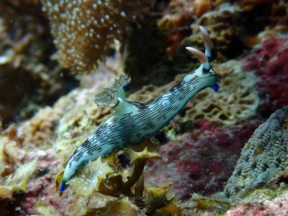 IMG_9316.jpeg