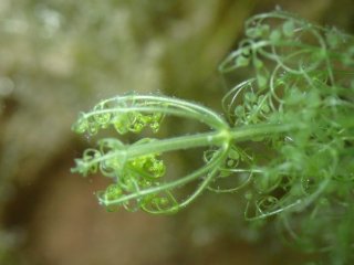 IMG_1829.jpeg