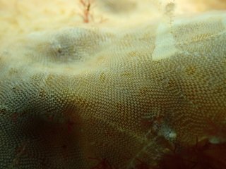 IMG_6142.jpeg