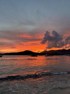 IMG_1835.jpeg
