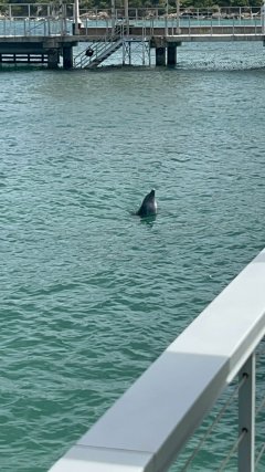 IMG_1967.jpeg