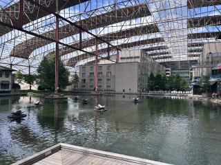 IMG_3240.jpeg