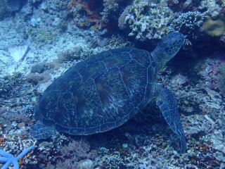 IMG_9077.jpeg