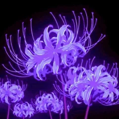 💜.webp