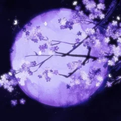 563018699770171.webp