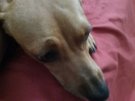20170626_085042.jpg
