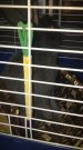20170726_163043.jpg