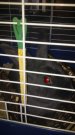 20170726_163040.jpg