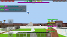 Screenshot_2017-11-21-05-42-30-212_com.mojang.minecraftpe.png
