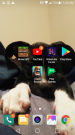 Screenshot_2017-11-22-11-50-20.png
