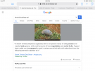 DB9D568D-1797-40A4-AAB0-05F746477F75.png