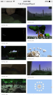 IMG_0385.PNG