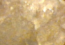 15201236694176058.png