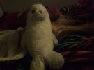 20180306_110000.jpg