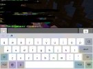 D5C2D080-3D74-4E21-8314-F3E7347479C2.jpeg