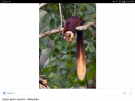 Screenshot_20180427-190302.png