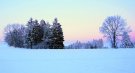 86A1B56A-90D1-482A-A7D8-114DD91E10E6.jpeg