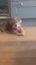 20180509_162018.jpg