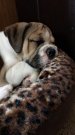 0E402C81-023B-4433-B13C-608A9E912658.jpeg