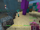 IMG_1479.PNG